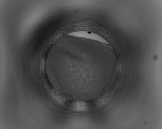 X0000091100767200708271316