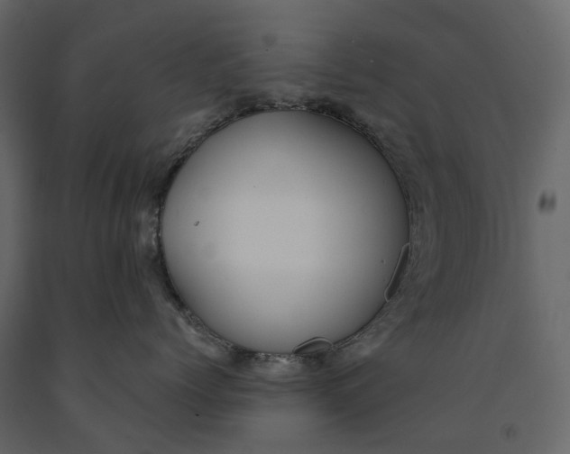 X0000091100768200708271316