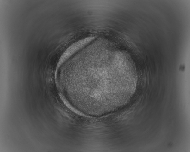 X0000091100770200708271316