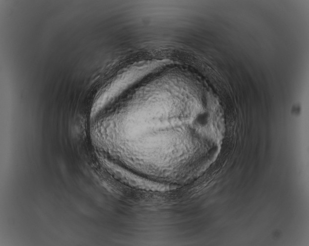 X0000091100772200708271316