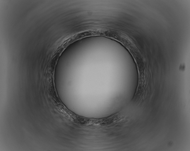 X0000091100773200708271316