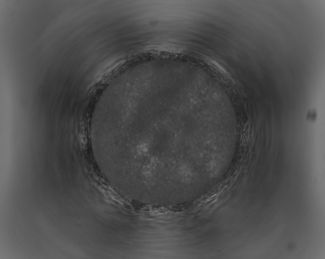 X0000091100774200708271316