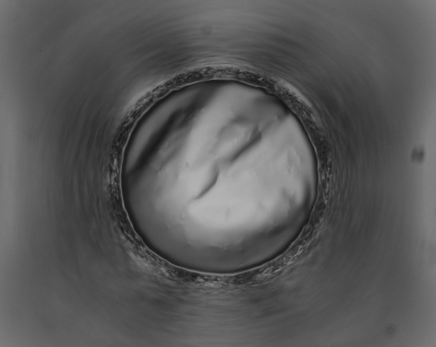 X0000091100775200708271316