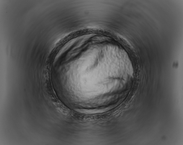 X0000091100776200708271316