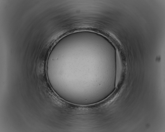 X0000091100777200708271316