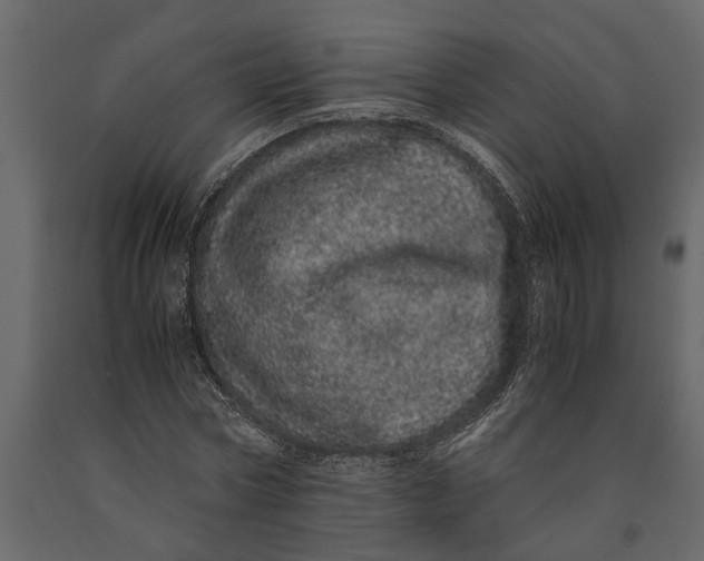 X0000091100778200708271316