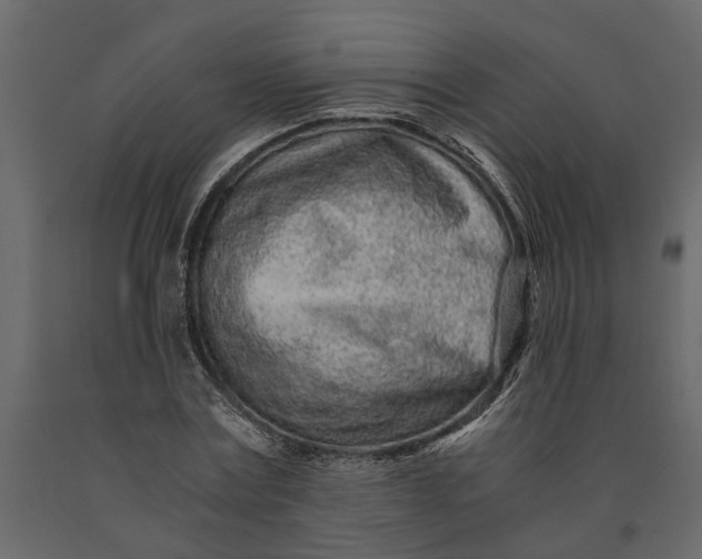 X0000091100779200708271316