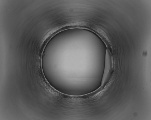 X0000091100781200708271316