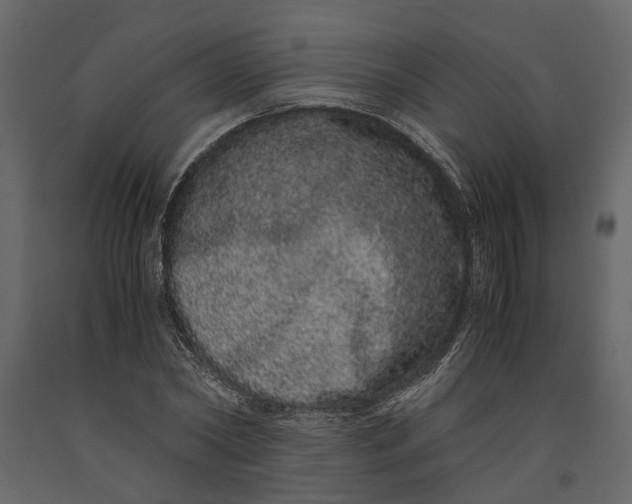 X0000091100782200708271315