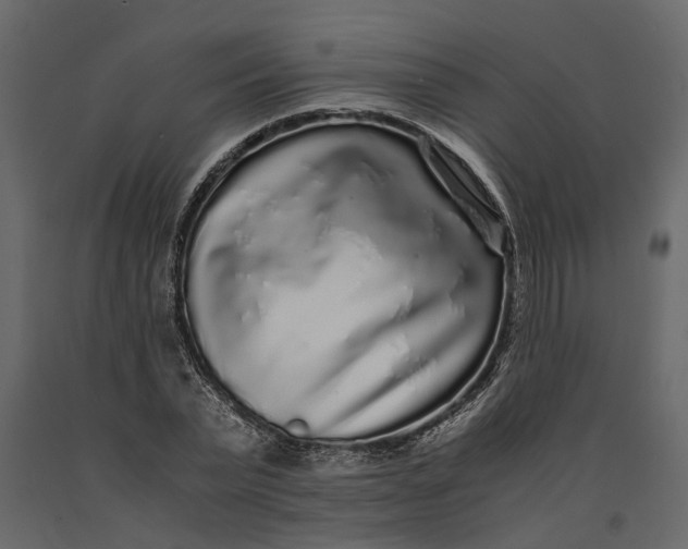 X0000091100783200708271315