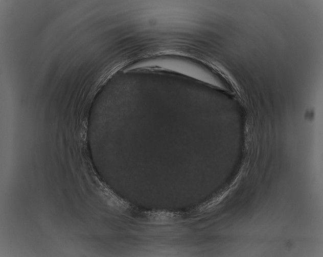 X0000091100785200708271315