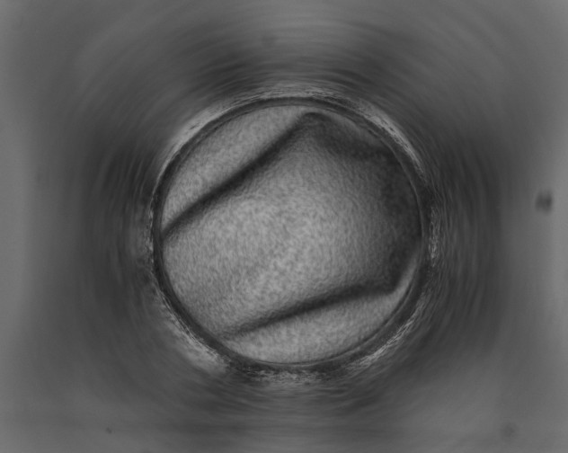 X0000091100786200708271315