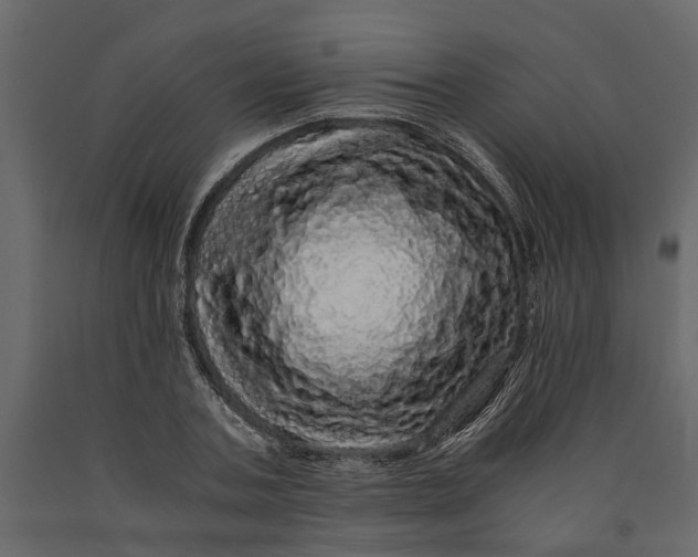 X0000091100787200708271315