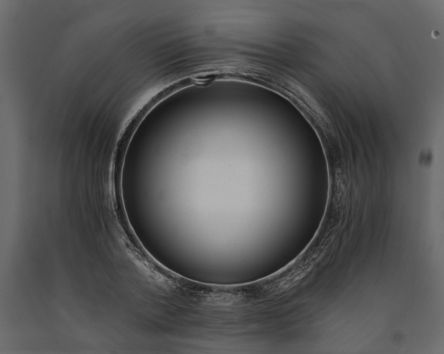 X0000091100788200708271315