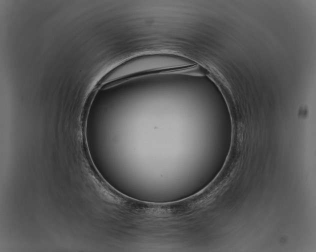 X0000091100789200708271315