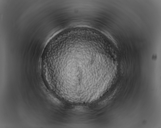 X0000091100790200708271315