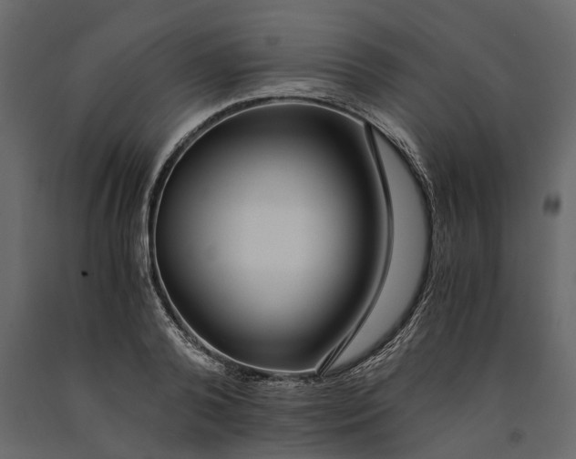 X0000091100792200708271315