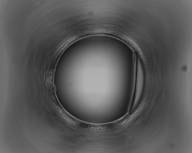 X0000091100793200708271315