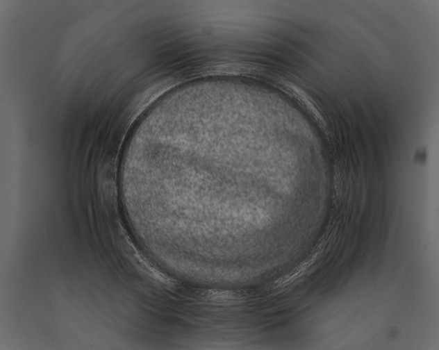 X0000091100794200708271315