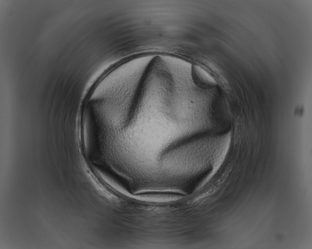 X0000091100796200708271315