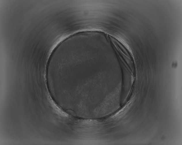 X0000091100797200708271315