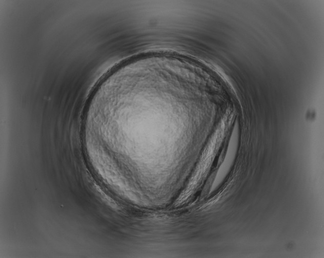 X0000091100799200708271315