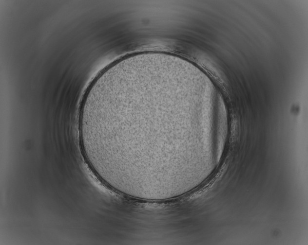 X0000091100800200708271315