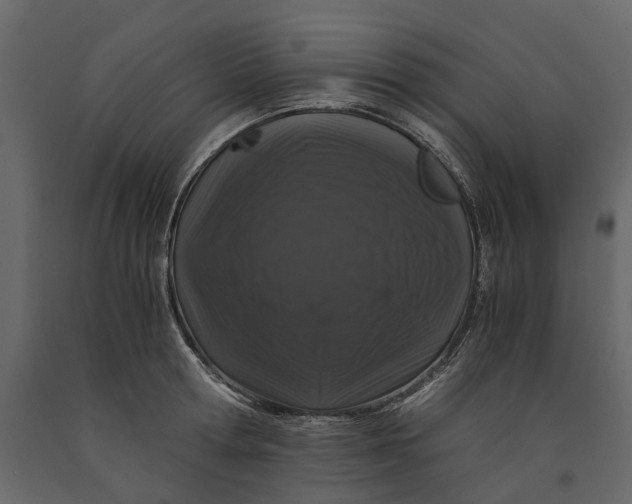 X0000091100802200708271315