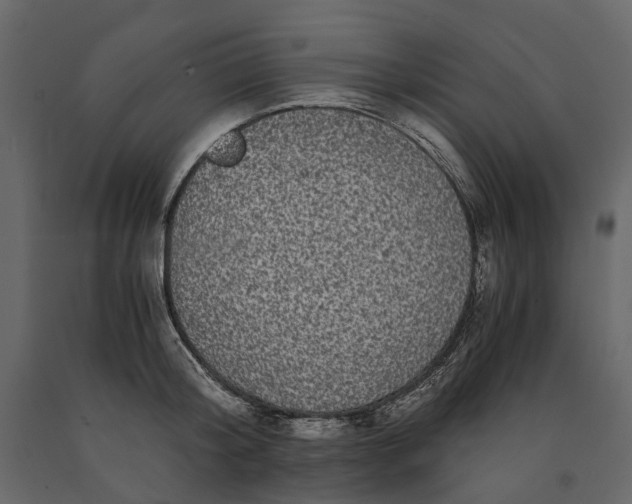 X0000091100804200708271315