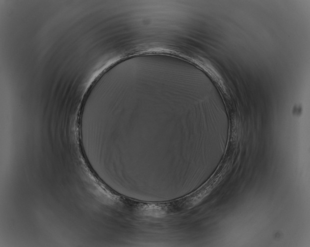 X0000091100806200708271315