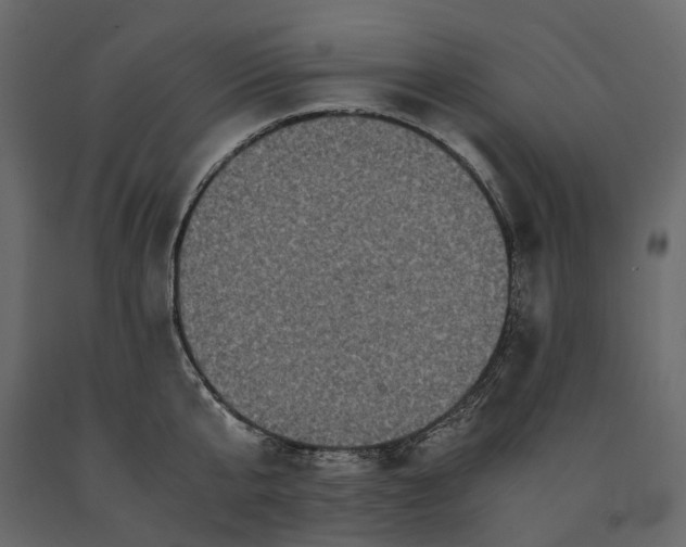 X0000091100807200708271315