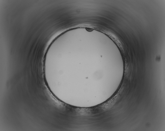 X0000091100808200708271315