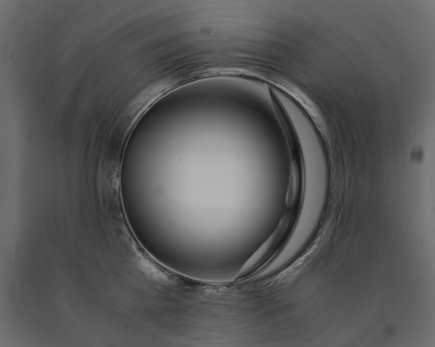 X0000091100809200708271315