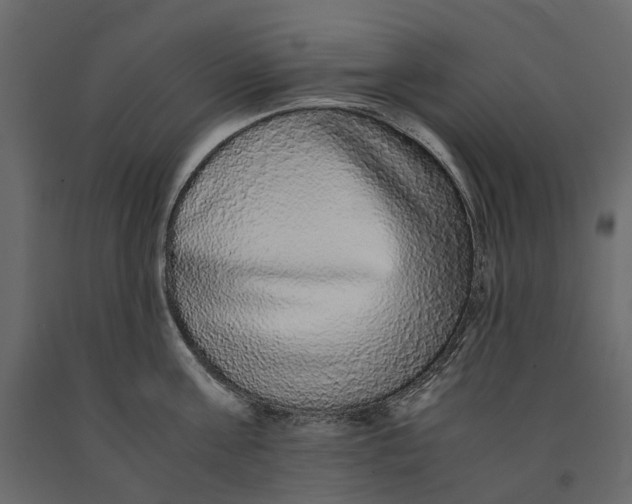 X0000091100811200708271315