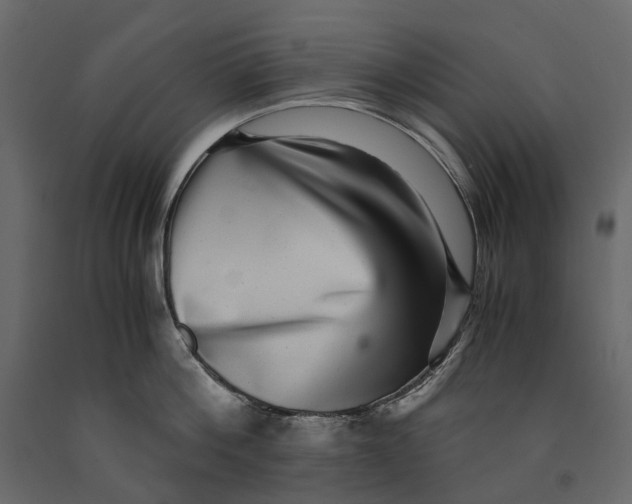 X0000091100812200708271315