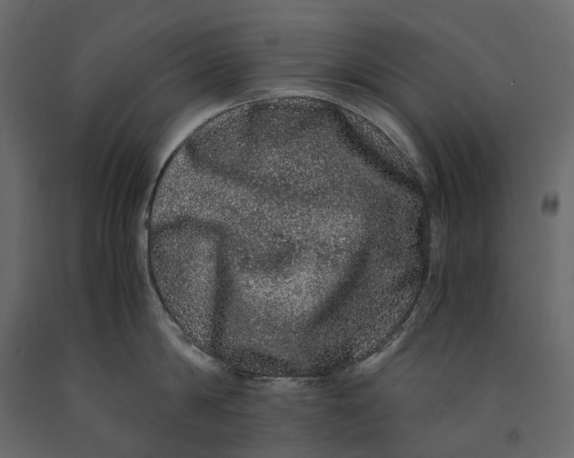 X0000091100814200708271315