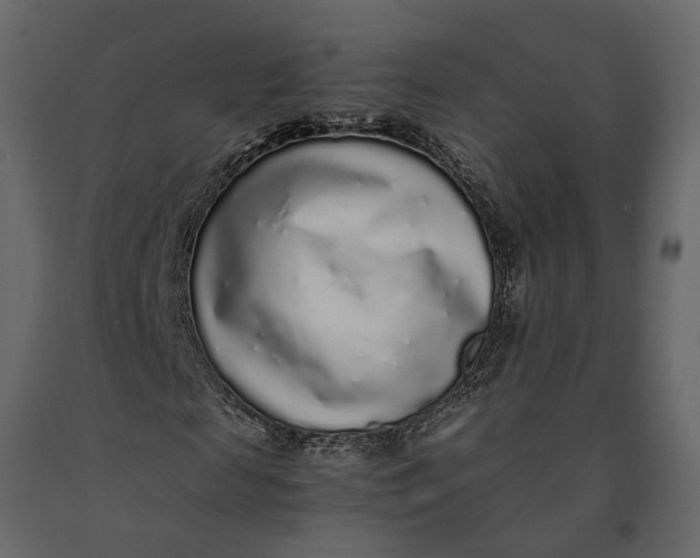 X0000091100817200708271314