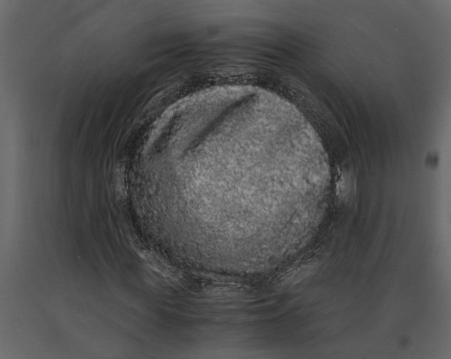 X0000091100819200708271315