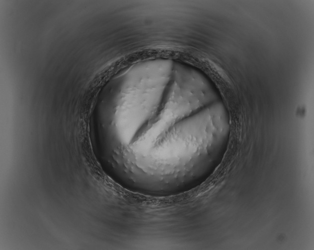 X0000091100821200708271315