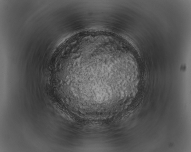 X0000091100823200708271315