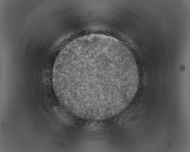 X0000091100824200708271315