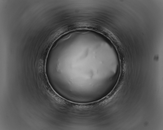 X0000091100825200708271315