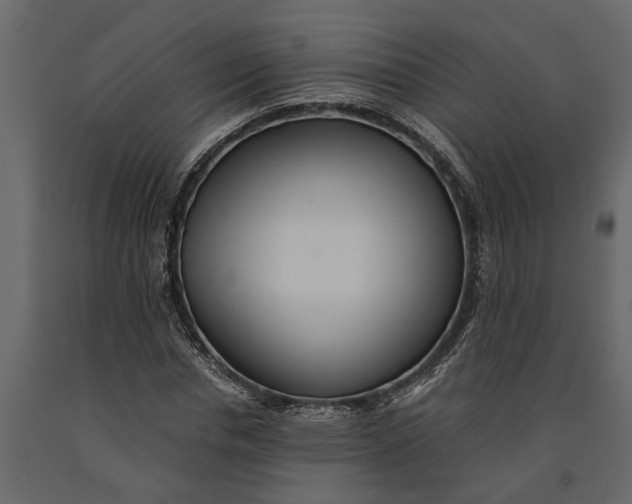 X0000091100826200708271315