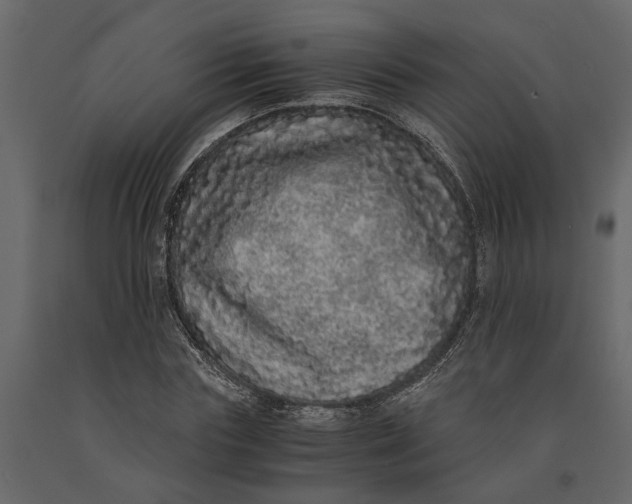 X0000091100827200708271315