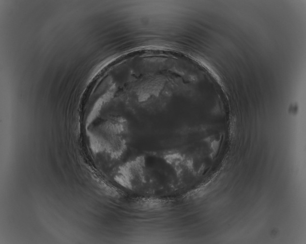 X0000091100829200708271315