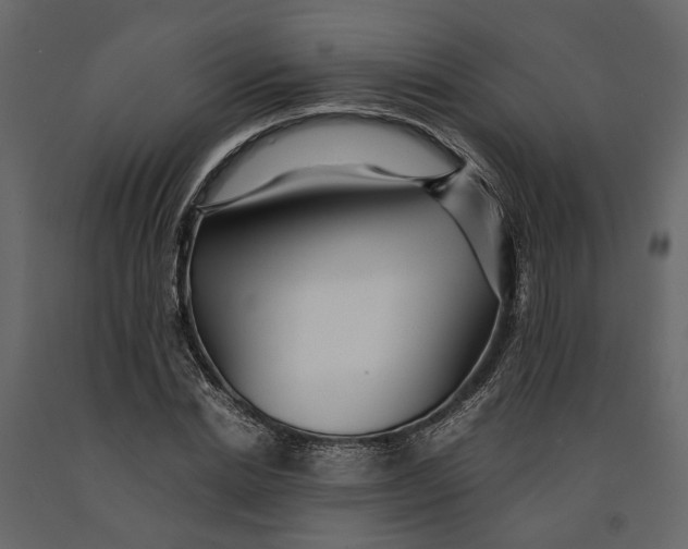 X0000091100830200708271315