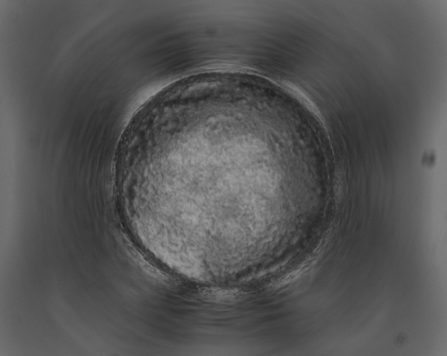 X0000091100831200708271315