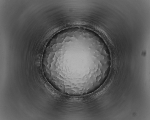 X0000091100833200708271315