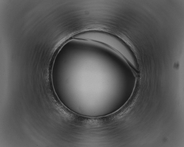 X0000091100834200708271315