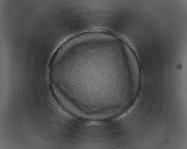 X0000091100835200708271315